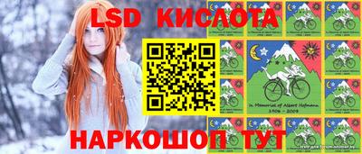 мяу мяу мука Лесосибирск