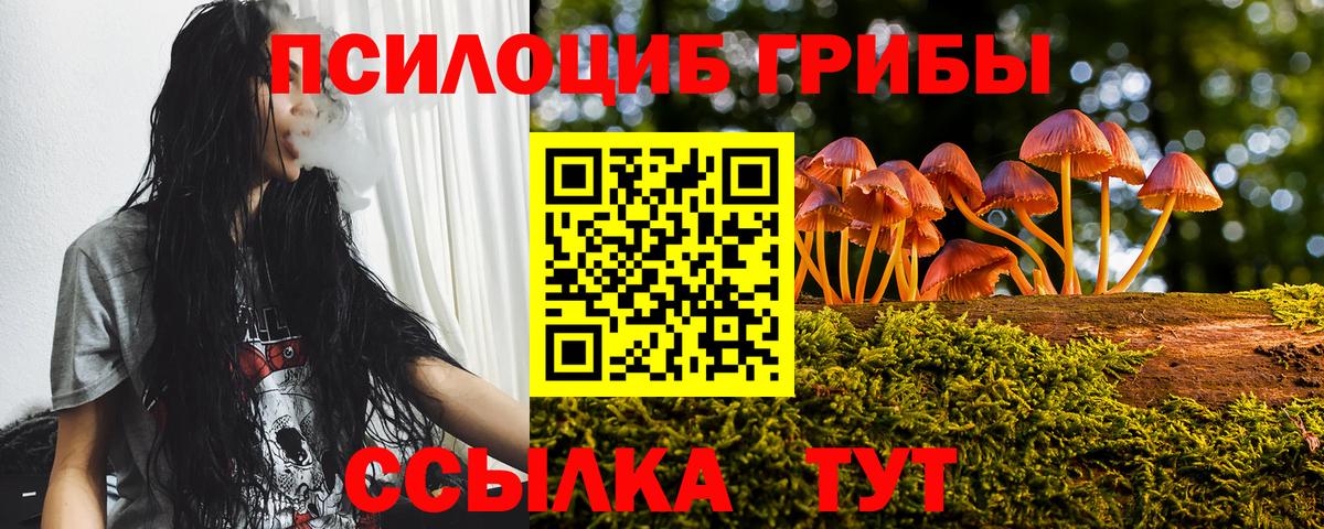 Геленджик  Галлюциногенные грибы Cubensis  Вход с VPN 